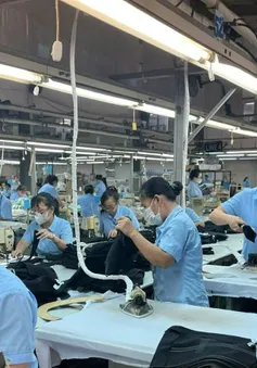 Kinh tế tư nhân: Đã đến lúc bứt phá