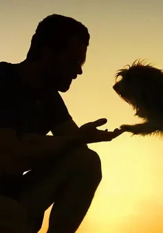 Món quà chào hè đầy nhân văn dành cho khán giả nhỏ tuổi