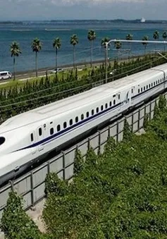 TP Hồ Chí Minh chuẩn bị vốn, đất cho đường sắt tốc độ cao