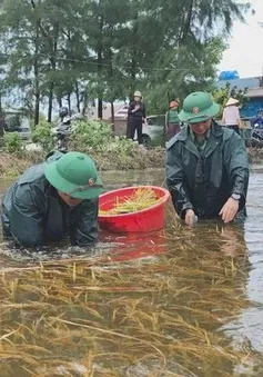 Quảng Trị: Dành 320 tỷ đồng khắc phục hậu quả mưa lũ do bão số 1