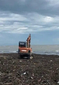 Rác phủ kín bãi biển Nhật Lệ sau mưa bão
