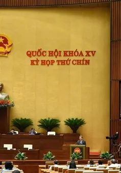 Kịp thời tháo gỡ khó khăn, vướng mắc do quy định của pháp luật