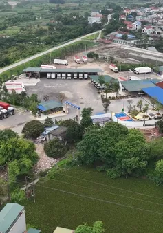 Thanh Hóa phát hiện doanh nghiệp sử dụng đất sai mục đích