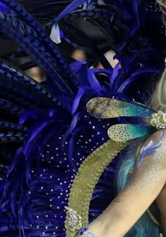 Carnival Brazil chật vật tìm "vũ công không silicone"