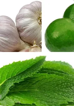 Những bài thuốc đơn giản chữa viêm họng