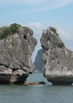 Hạ Long sẽ đón hàng loạt tàu biển quốc tế hạng sang