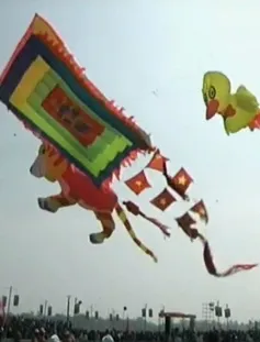 Festival Diều quốc tế tại Ấn Độ