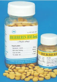 Thai phụ không được dùng berberin, vì sao?