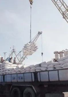 Doanh nghiệp xin trả chỉ tiêu xuất khẩu gạo
