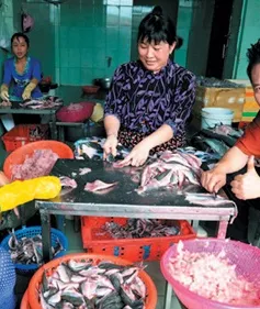 "Khám phá Việt Nam cùng Martin Yan" sắp lên sóng truyền hình Mỹ