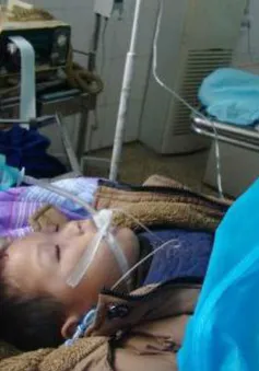 Giẫm đạp lên nhau, 4 học sinh Trung Quốc bị chết