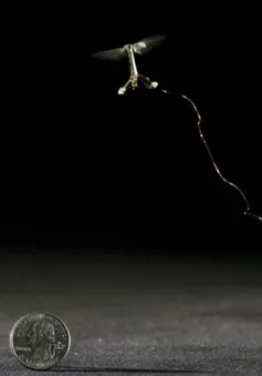 Mỹ chế tạo thành công robot côn trùng nhỏ nhất thế giới