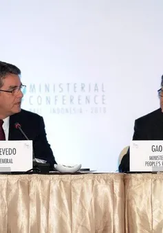 Hội nghị Bộ trưởng WTO: Thảo luận các biện pháp kích thích thương mại