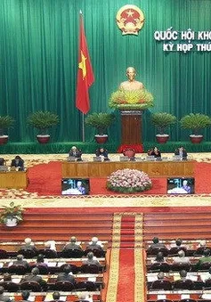 Thẩm tra Báo cáo của Chính phủ về kinh tế - xã hội