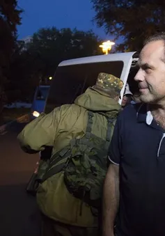Ukraine: Lực lượng chống Chính phủ trả tự do cho quan sát viên OSCE