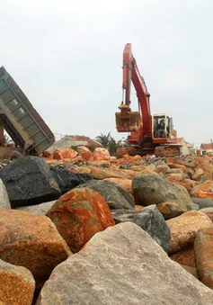 Phú Yên triển khai dự án cấp bách xây dựng kè biển xóm Rớ 