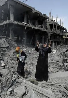 Hamas chấp thuận lệnh ngừng bắn 24 giờ