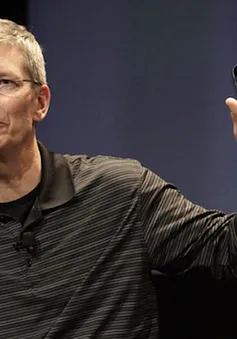 Một giờ làm việc của Tim Cook trị giá... hơn nửa triệu USD