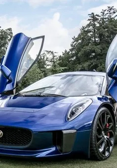 Những hình ảnh đẹp nhất tại Wilton Classic & Supercars 2013