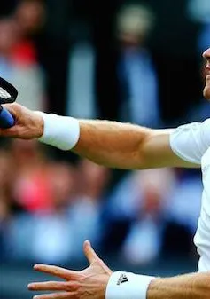 Wimbledon 2014: Thắng dễ Anderson, "nhà vua" Murray hùng dũng tiến vào tứ kết