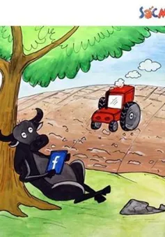Sắc màu vui nhộn: Bí mật được... bật mí!