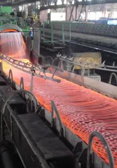 Doanh nghiệp Việt lúng túng với phòng vệ thương mại
