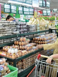 DN chăn nuôi FDI đẩy giá trứng tăng cao từng ngày