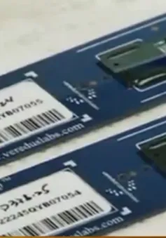 Chip sinh học giúp phát hiện... bệnh nhiệt đới