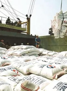 Tháng 5, 6: Đặt mục tiêu xuất khẩu 1,5 triệu tấn gạo 