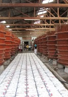 Trung Quốc hút nguồn hàng cá cơm