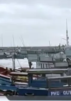 Du lịch đảo Phú Quý: Mãi là... tiềm năng?