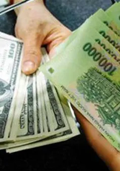 Tỷ giá USD/VND tăng kịch trần