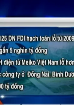 Nhiều doanh nghiệp FDI khai lỗ lớn