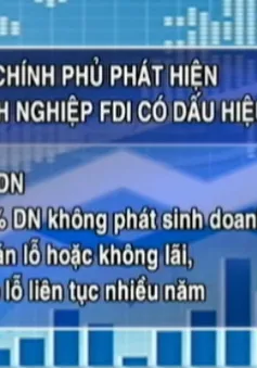 Phát hiện nhiều DN FDI có dấu hiệu chuyển giá