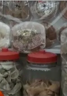 Yến sào rởm đầy rẫy thị trường 