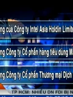 TP.HCM: Nhiều doanh nghiệp FDI bị nghi né thuế