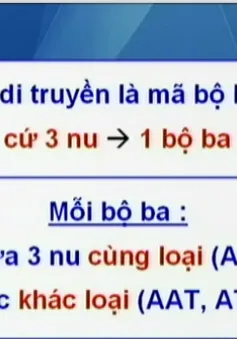 BTKT môn Sinh học: Bài tập về mã di truyền