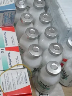 Thu giữ lượng lớn thuốc tân dược hết "đát" ở Hà Nội