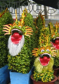 Kiểng quả thành “hàng độc” chưng Tết hút hàng