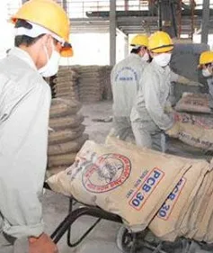 Nhu cầu tiêu thụ xi măng năm 2014 sẽ tăng 1,5-3%