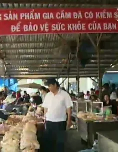 Khó kiểm soát giết mổ gia cầm trong khu dân cư 