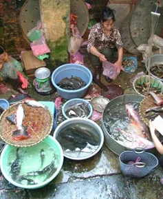 98% thủy sản ở Hà Nội nhiễm kim loại