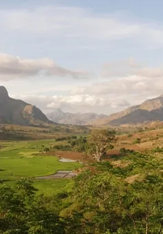 Thần bí quốc đảo Madagascar