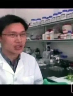 Vật liệu siêu nhẹ quý hơn vàng