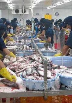 VASEP kiến nghị kiểm soát sản lượng nuôi cá tra