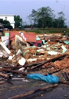 Mưa lốc kéo sập, tốc mái hàng trăm nhà dân 