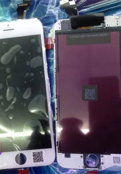 iPhone màn hình 5,5 inch sẽ có tên iPhone 6L?