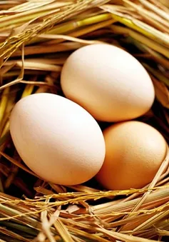Trứng gà chữa bệnh phụ nữ