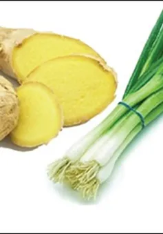 Thuốc nam chữa trị một số bệnh vào mùa lạnh