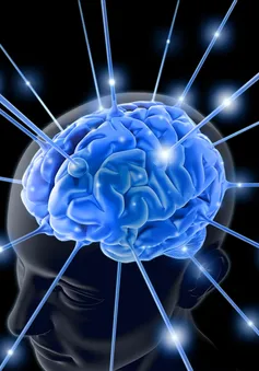 Sống năng động để có trí não lành mạnh